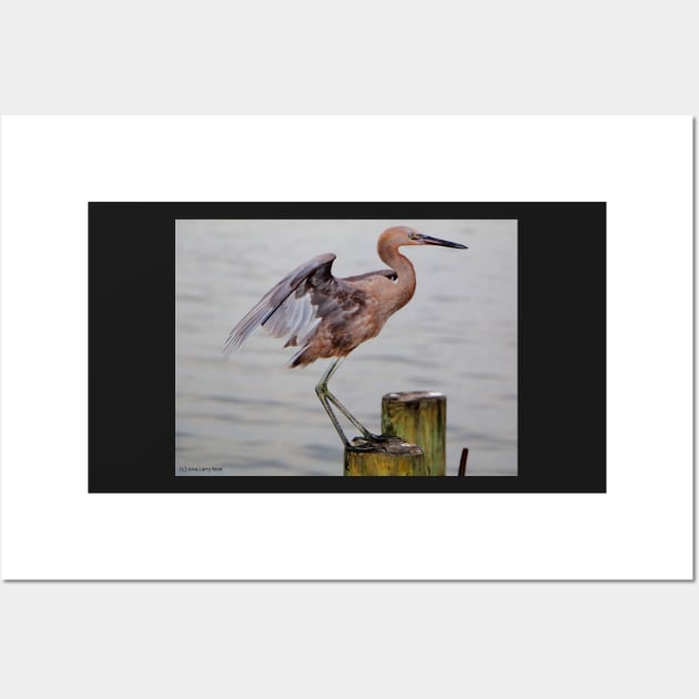 Egret Egress Wall Art by BadHabitsLounge